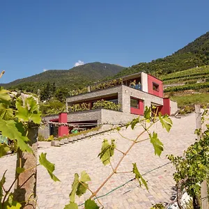  Bed & Breakfast Nebbiolo Wine